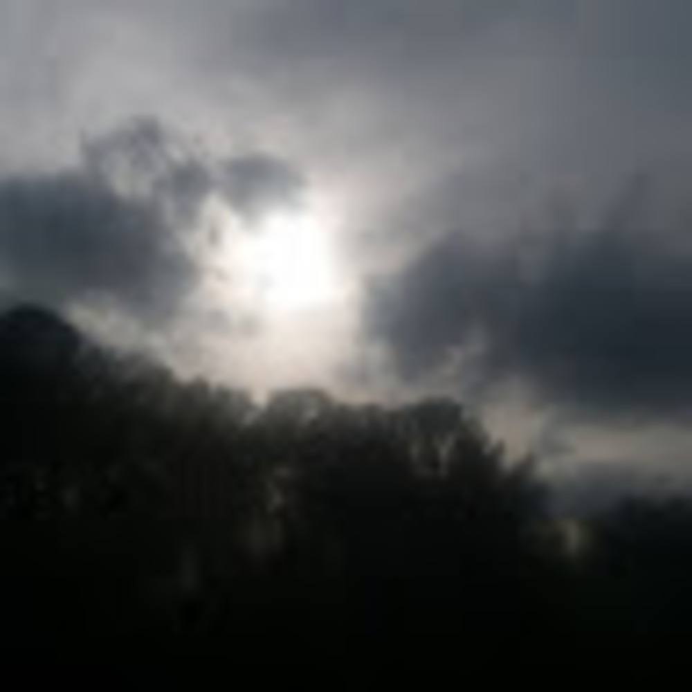 Meet your Posher, Guen